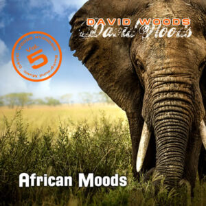 Hypnose MP3: Vol. 5 / African Moods - Relaxmusik